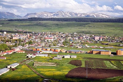 Göle Belediyesi