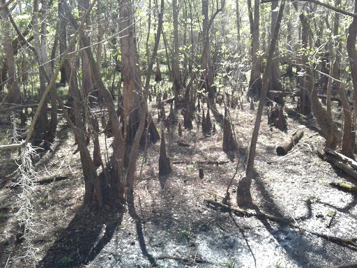 TECO Building at Nature's Classroom - Thumbnail