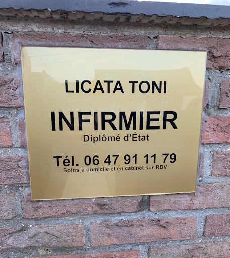 TONI LICATA