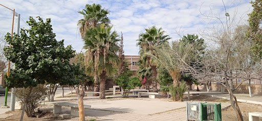 bomberos Park - Visual