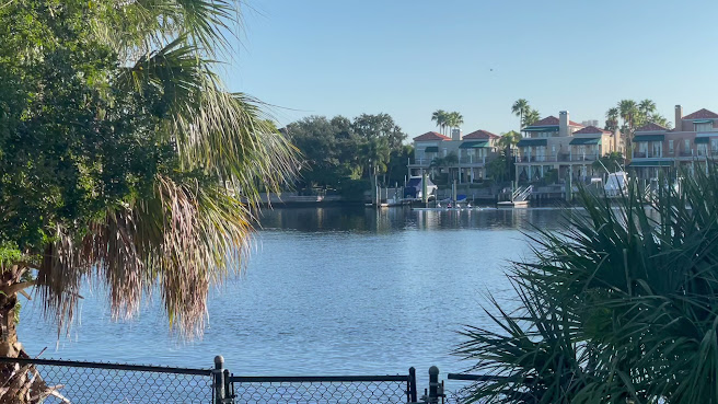 Davis Islands Park by null