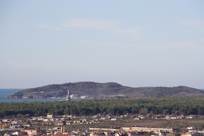 La Petrolifera Italo Albanese SH.A