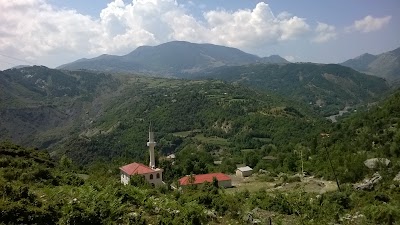 Shkolla Fillore Shkallë