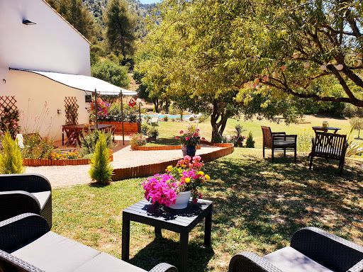 Les Prairies de Fenestrelle " Gîte en Provence" SPA et piscine au cœur de la nature et au calme Gallery - France
