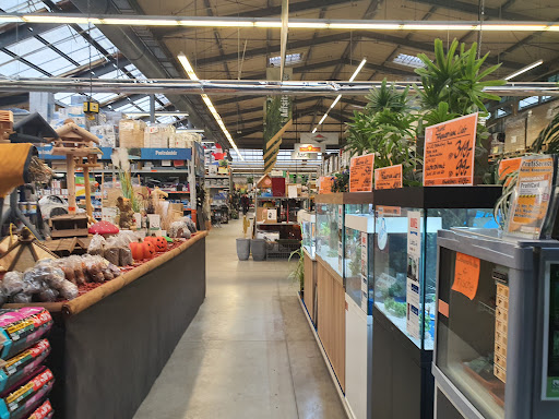 HORNBACH Darmstadt - Thumbnail