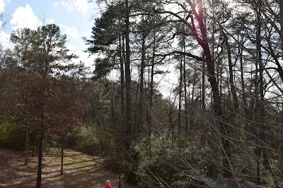 Photos of Ruffner Mountain Nature Preserve