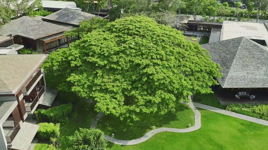 Andaz Pattaya Jomtien Beach, by Hyatt by null