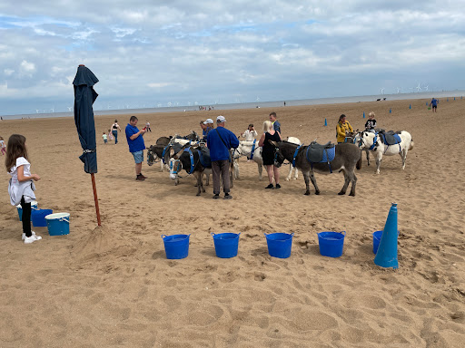 Eptons Donkey Rides - Thumbnail