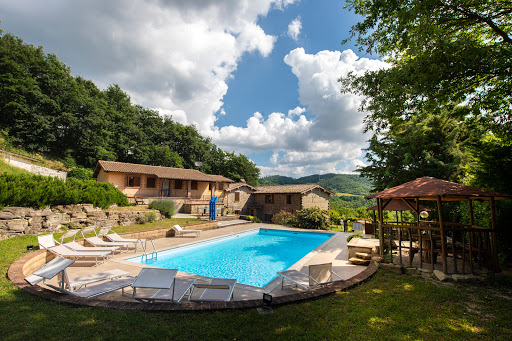 Agriturismo la Contessa Quarter Horse - Thumbnail