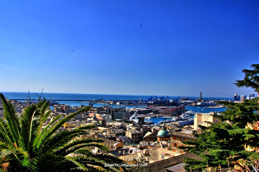Comune Di Genova - Thumbnail