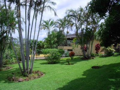 Photos of Casa De Flores Boutique Guesthouse & Villa