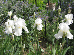 Photo n°1 de Chambre d'hôtes APIFLORE à Garéoult (Chambre d'hôtes)