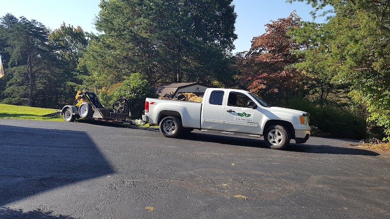 Romanelli landscaping