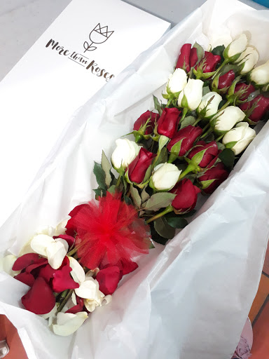 More Than Roses Frontera Gallery - Mexico