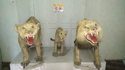 Photos of Museo de Historia Natural "Victor Salvador de Le&oacute;n Toledo", Casa de la Cultura de Occidente "Prof. Julio C&eacute;sar de la Roca"