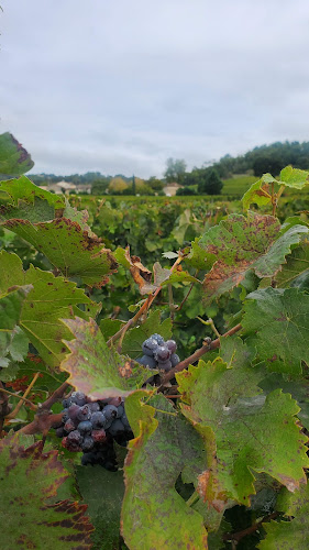 3 lieudit, Jean Melin, 33330 Saint-Émilion