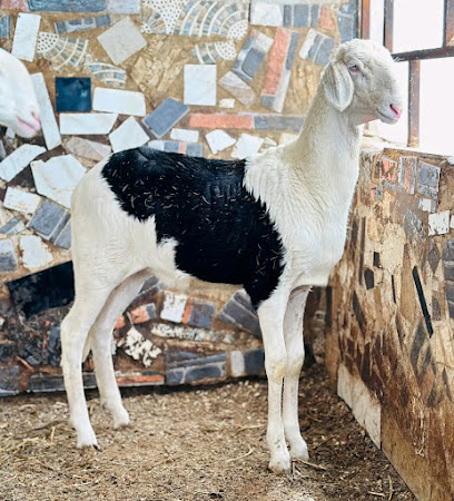 KAMA_Agro et Services