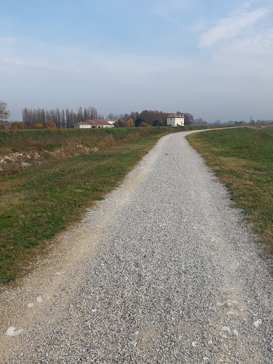 Ca’ Erizzo - Visual