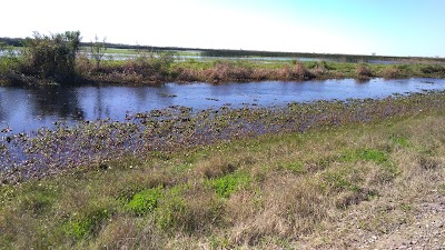 Cameron Prairie National Wildlife Refuge