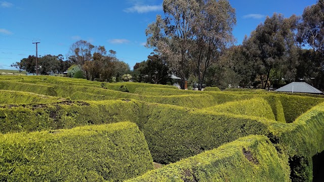 Mintaro Maze