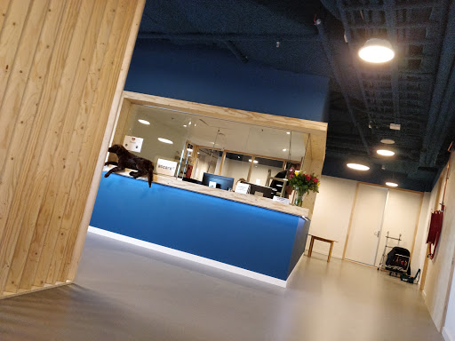 Accare - Visual