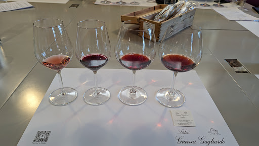 Poderi Gianni Gagliardo s.s. - Thumbnail