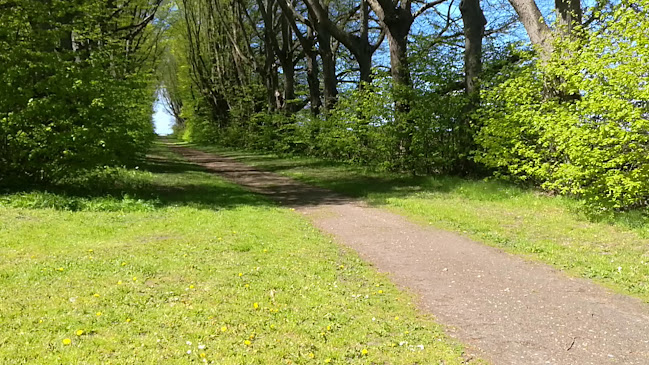 Tæt På Donekrogen - Helsingør