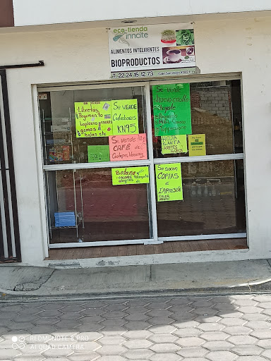 Ecotienda Inncite - Mexico