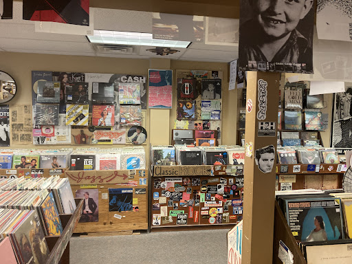 Record Collector - Visual