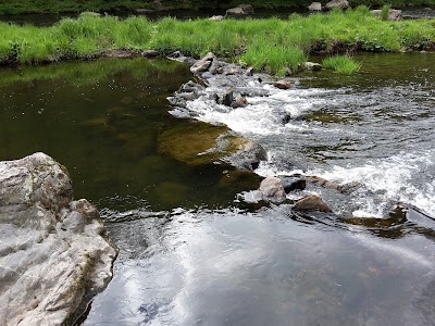Photos of bain du cerf