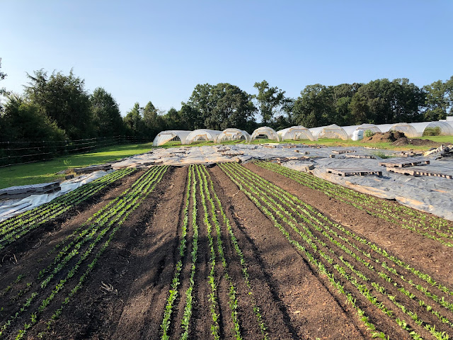 Fair Share Farm LLC by null