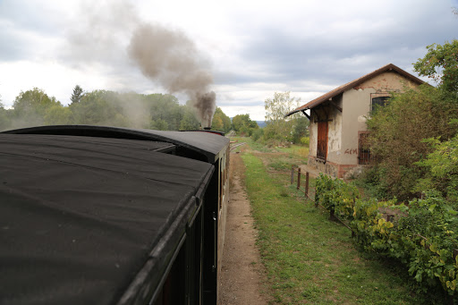 Train Thur Doller Alsace - Atelier et dépôt des locomotives Gallery - France