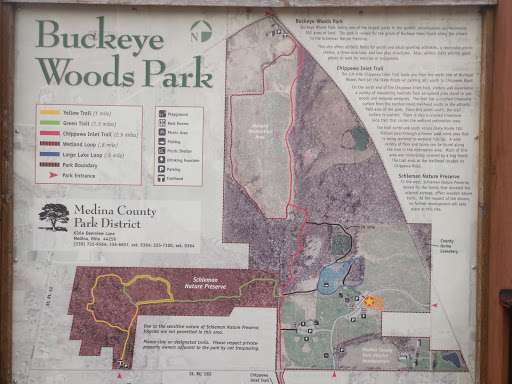 Buckeye Woods Park - Thumbnail