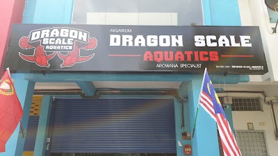 Dragon Scale Aquatics