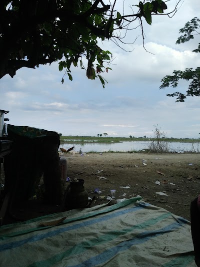 Photos of pisang - pisang