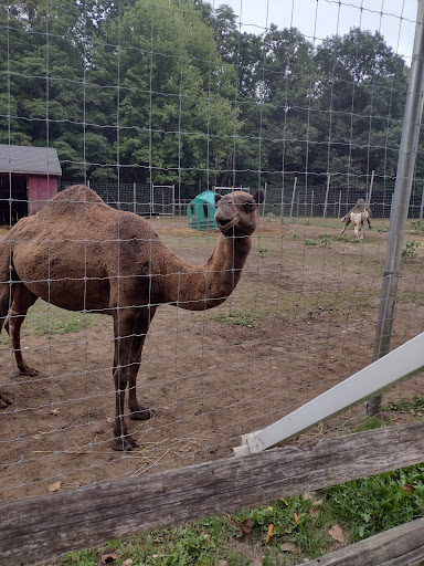 Indian Creek Zoo - Thumbnail