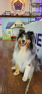 Bones Dog Bakery photo