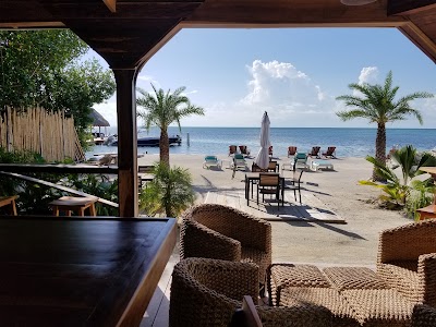 Photos of Iguana Reef Beach Bar