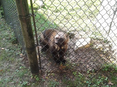 Henson Robinson Zoo