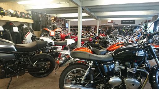 Axel's Bike Shop - Thumbnail