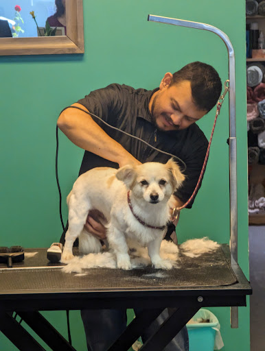 Groomingdale CA - Thumbnail