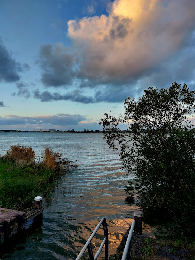 Binnenschelde - Thumbnail