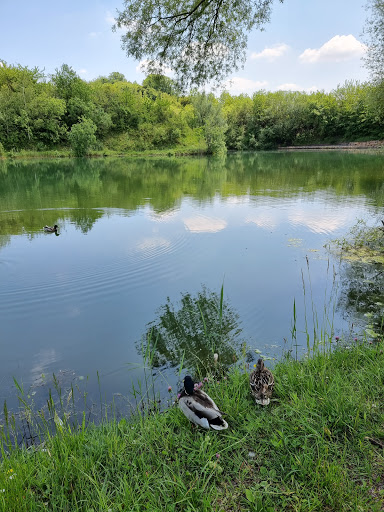 Parc Almet