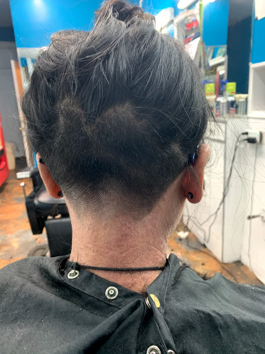 Caribbean Cuts - Visual