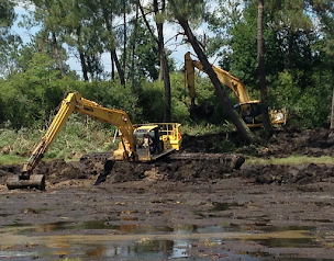 Photo n°16 de Bernard Cigrand Travaux Publics et Forestiers à Saint-Julien-en-Born (Service forestier)
