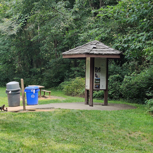 Royalview Mountain Bike Trail (Dessoffy Lot) - Thumbnail