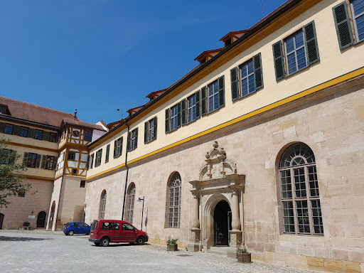 Museum of the University of Tübingen (MUT) - Thumbnail