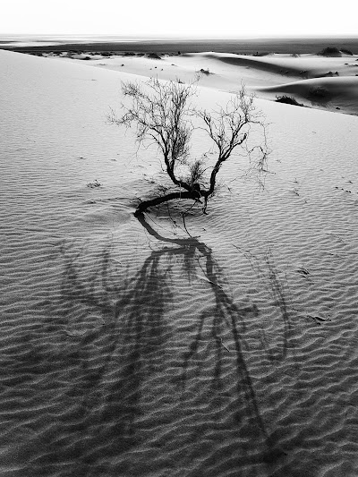 Photos of Kavir National Park