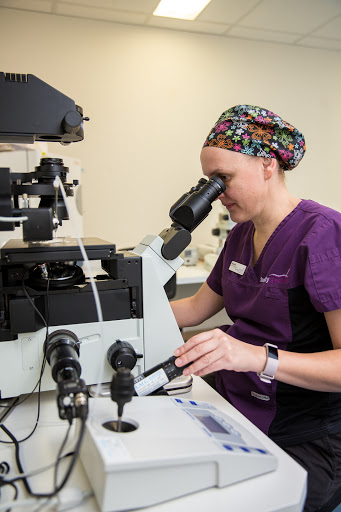 Fertility Specialists of Western Australia - Thumbnail