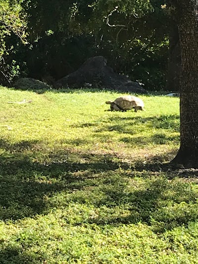 Miami Metro Zoo